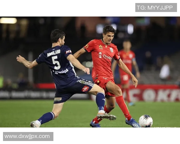 阿德莱德与悉尼FC比赛数据深度分析及战术对比探讨